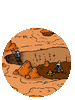 Clay Pit
